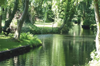 Fluss in Mitten eines Waldes